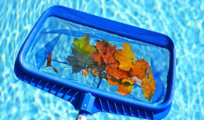 Pool Cleaning